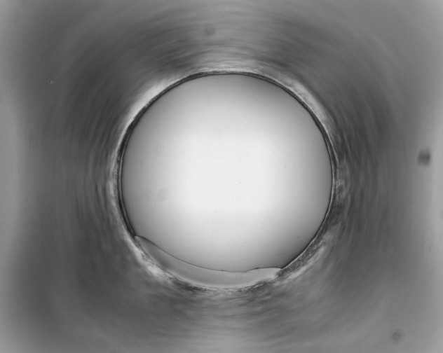 X0000099290909200805231318