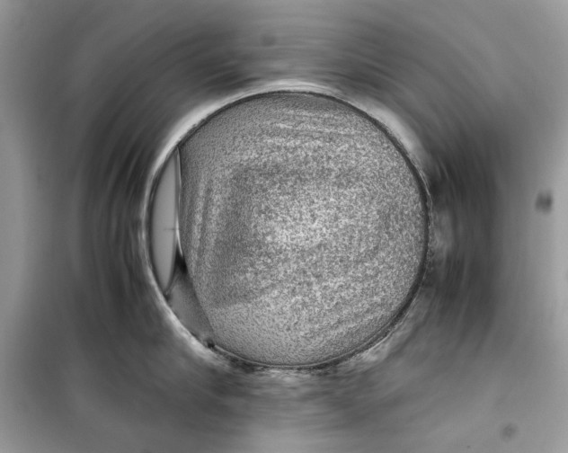 X0000099290910200805231318