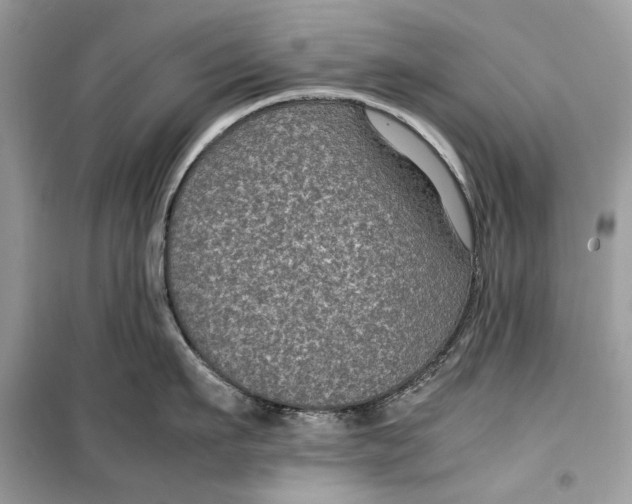 X0000099290911200805231318