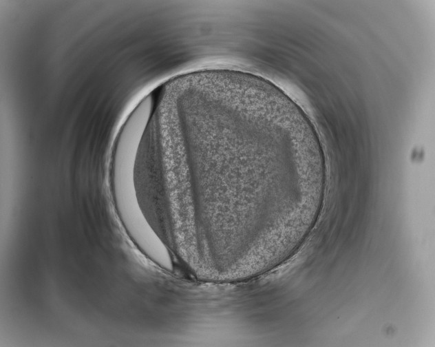 X0000099290912200805231318