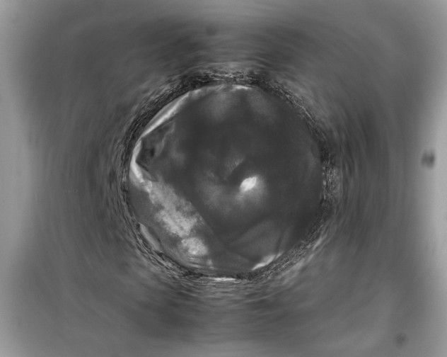 X0000099290913200805231317