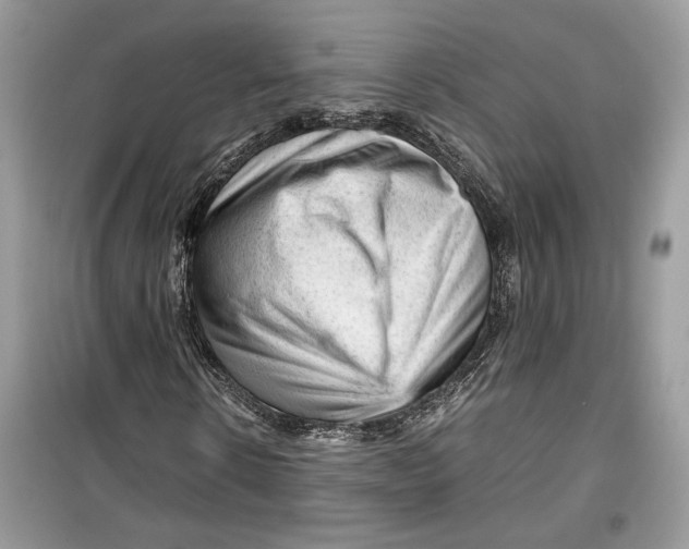 X0000099290914200805231317