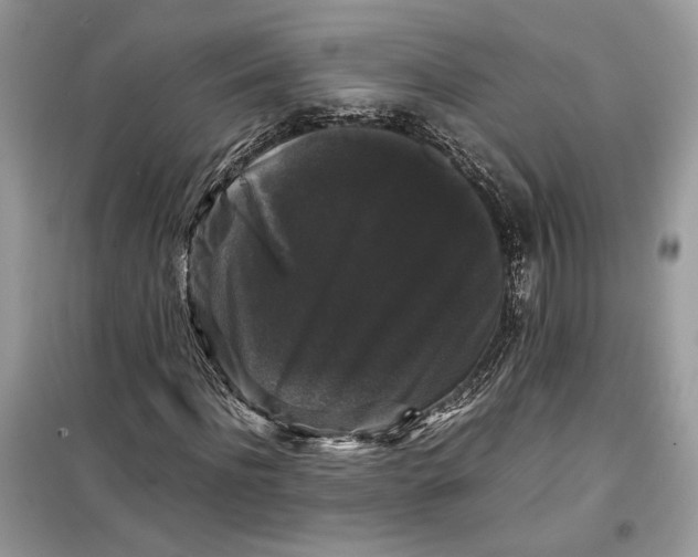 X0000099290916200805231317