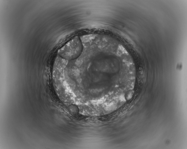 X0000099290918200805231317