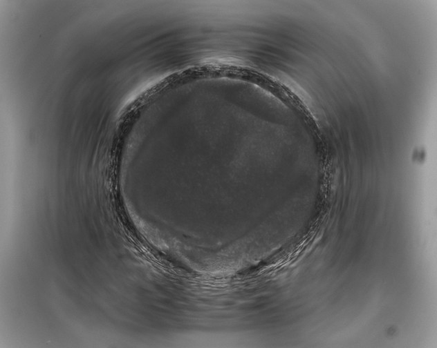 X0000099290919200805231317