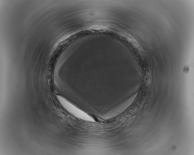 X0000099290920200805231317