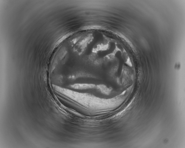 X0000099290921200805231317