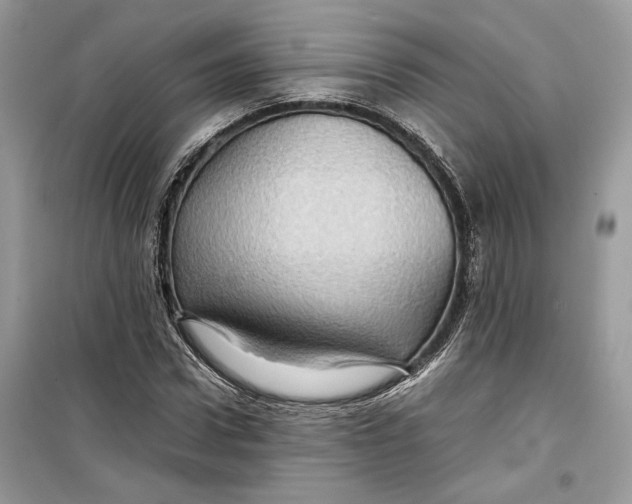 X0000099290922200805231317