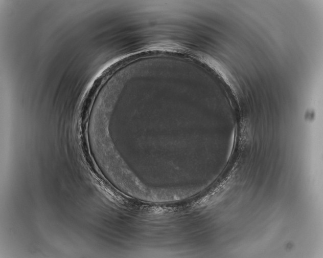 X0000099290923200805231317