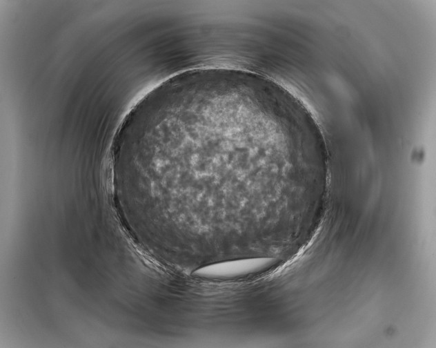 X0000099290925200805231317