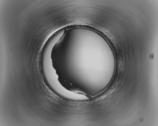 X0000099290926200805231317