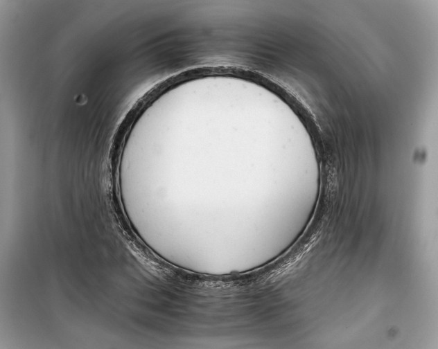 X0000099290927200805231317