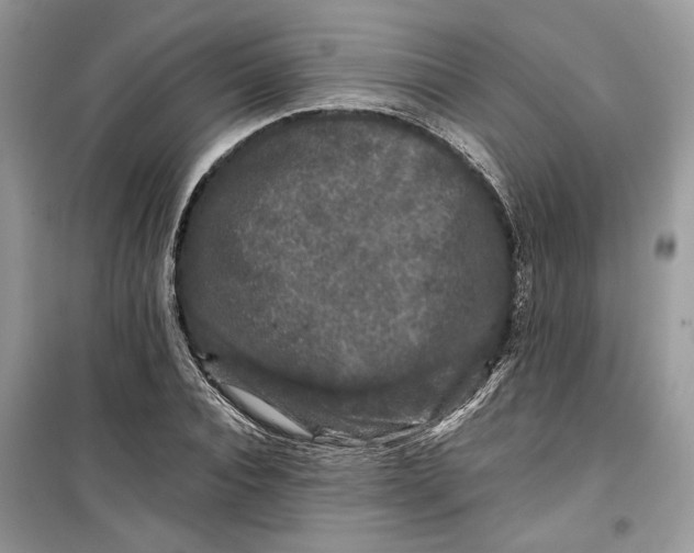 X0000099290928200805231318