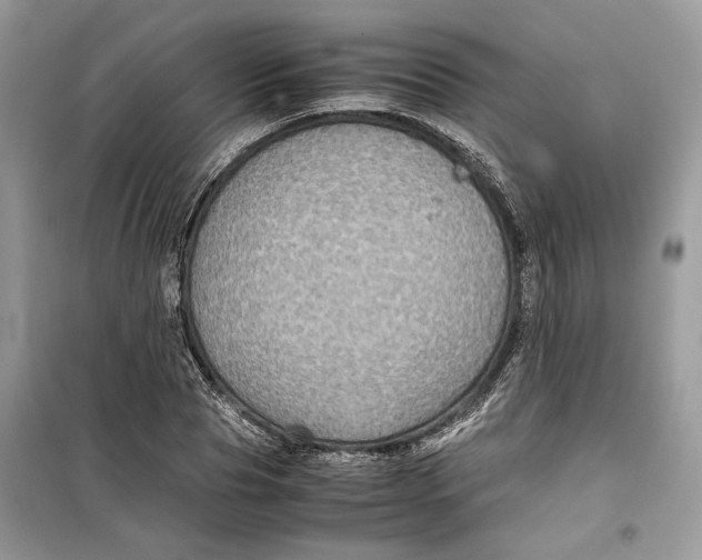 X0000099290929200805231318