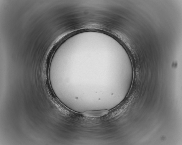 X0000099290931200805231318