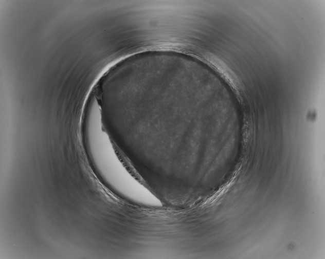 X0000099290932200805231318