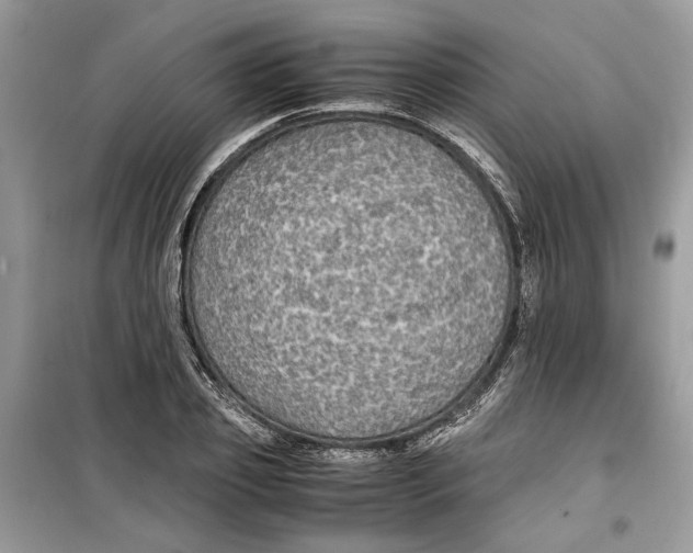 X0000099290933200805231318