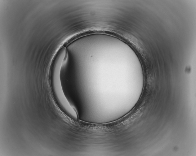 X0000099290934200805231318