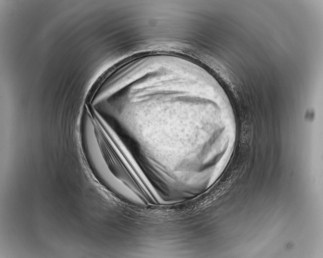 X0000099290936200805231318