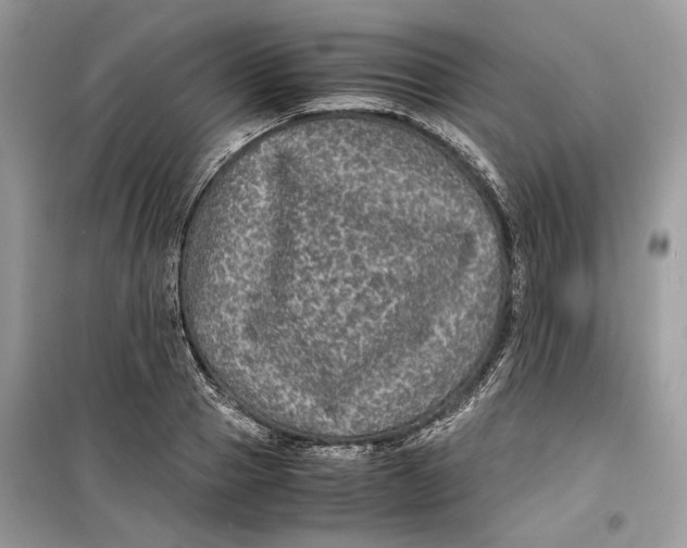 X0000099290937200805231318