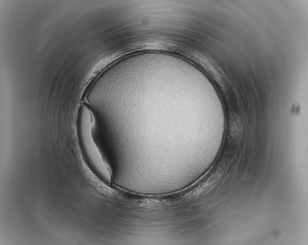 X0000099290938200805231318