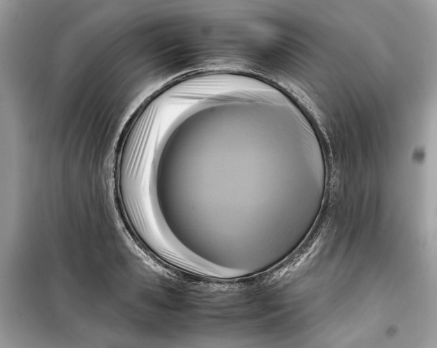 X0000099290941200805231318