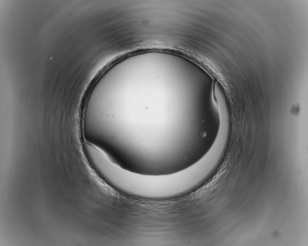 X0000099290942200805231318