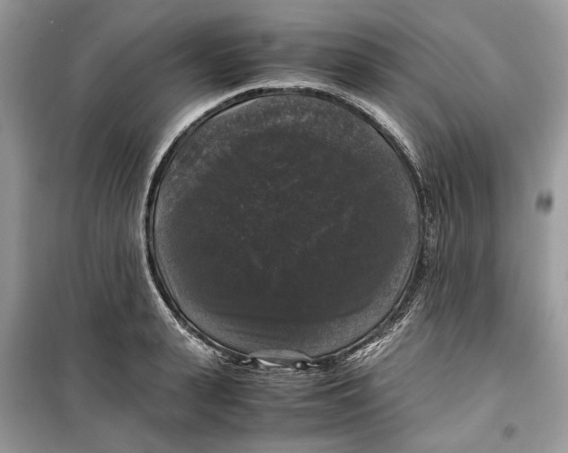 X0000099290943200805231318