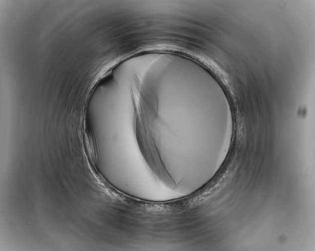 X0000099290945200805231318