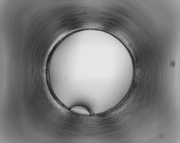 X0000099290947200805231318