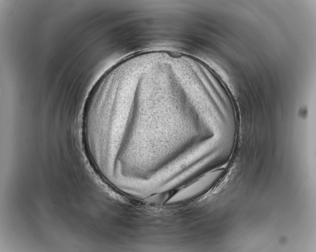 X0000099290949200805231318