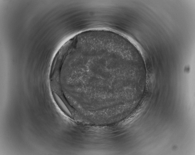 X0000099290951200805231318