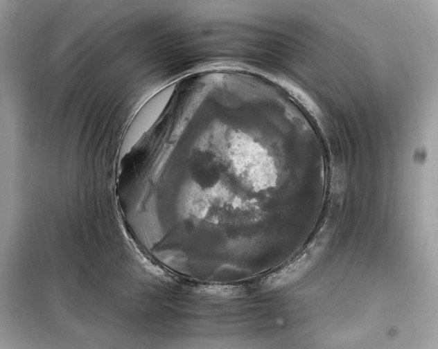 X0000099290953200805231318