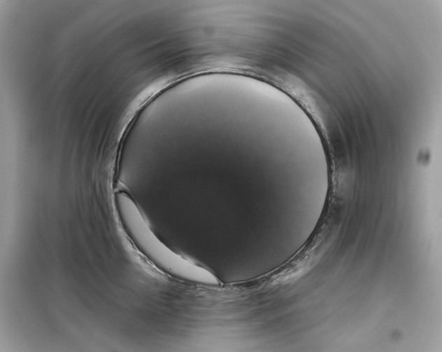 X0000099290954200805231318