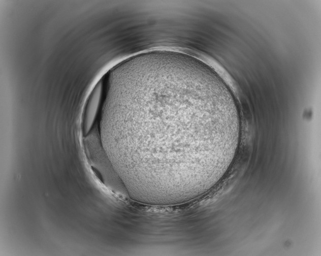 X0000099290955200805231318