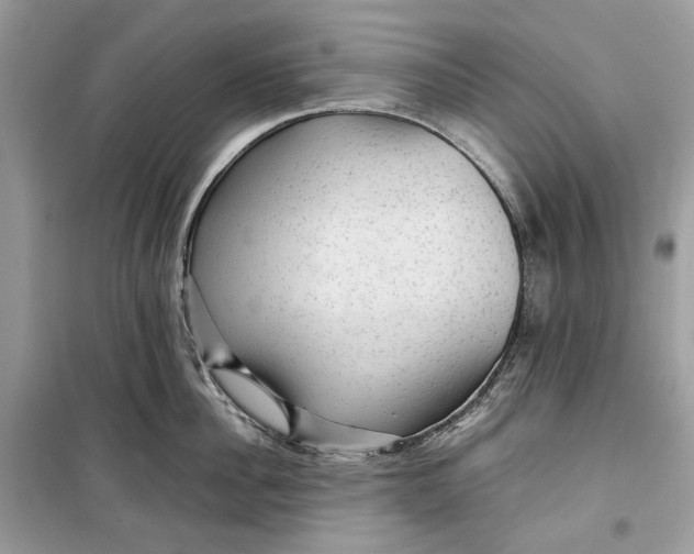 X0000099290956200805231318