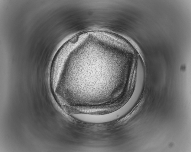 X0000099290957200805231318