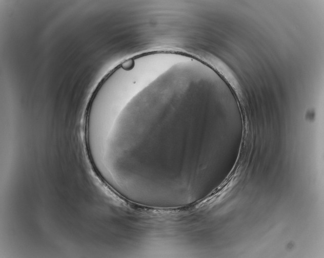 X0000099290958200805231318