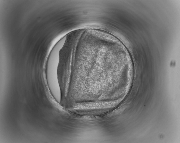 X0000099290960200805231318