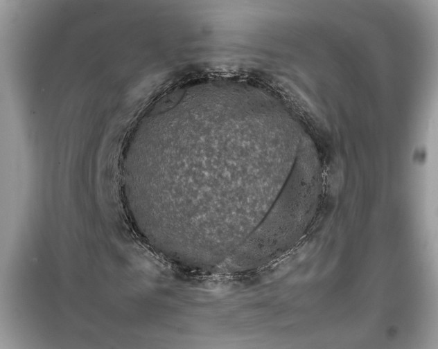 X0000099290961200805231317