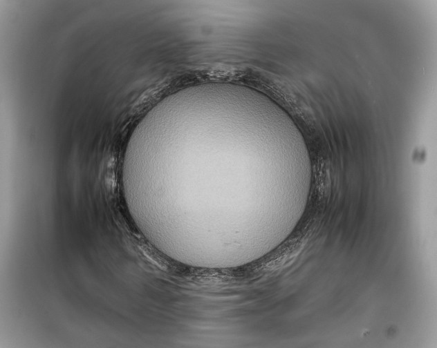 X0000099290962200805231317