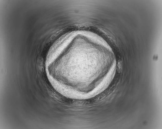 X0000099290963200805231317