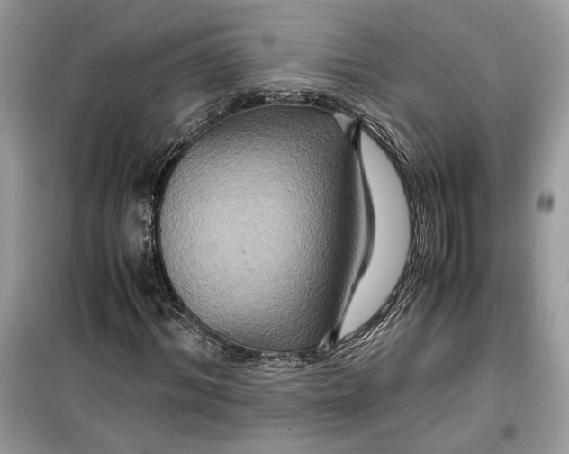 X0000099290964200805231317