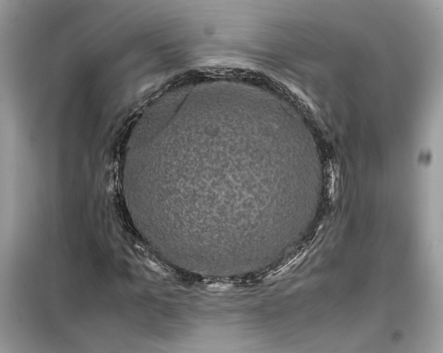 X0000099290965200805231317