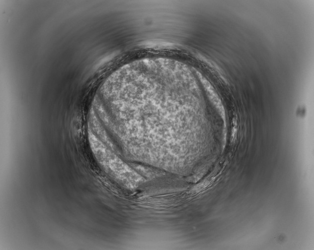 X0000099290966200805231317