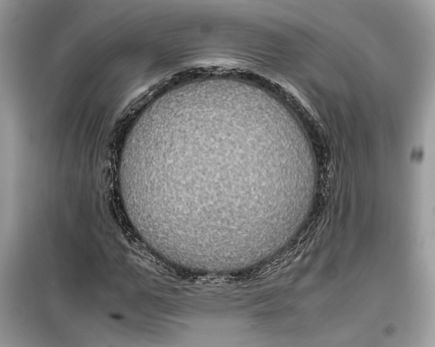 X0000099290967200805231317