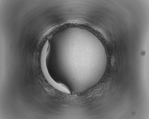 X0000099290968200805231317