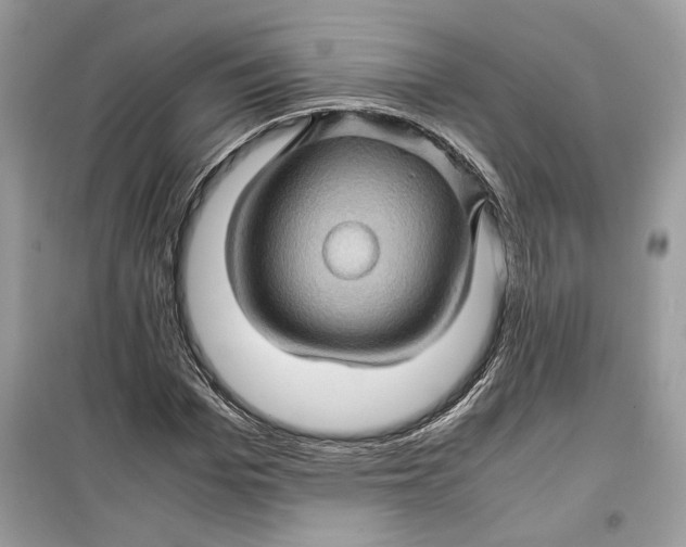 X0000099290969200805231317