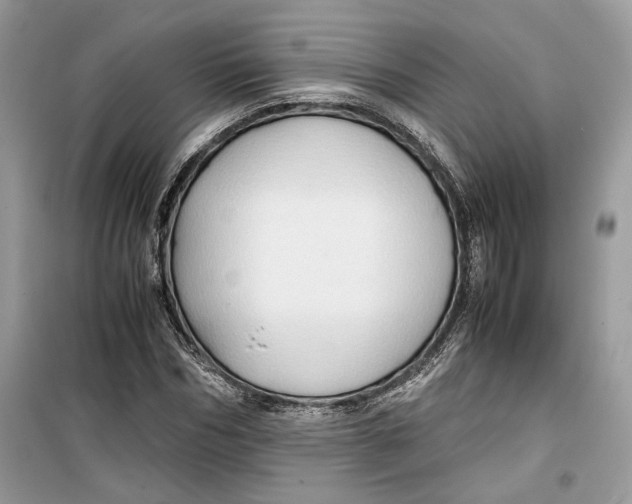 X0000099290970200805231317