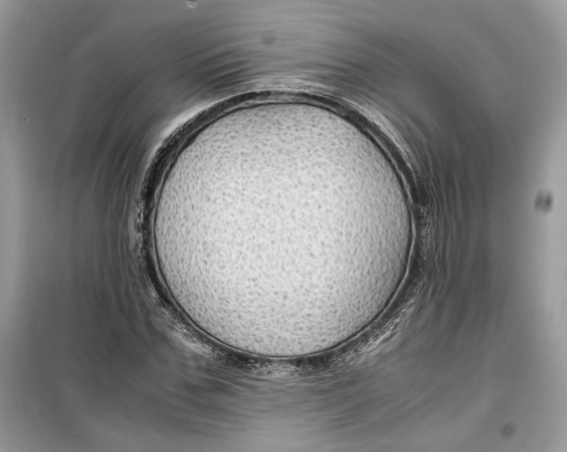 X0000099290971200805231317